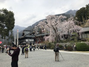 IMG_0148